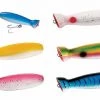 Tsunami Timber Lure Bottle Popper Plug Color Blue Mackerel -Baits + Lures Sales image 176
