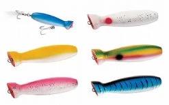 Tsunami Timber Lure Bottle Popper Plug Color Blue Mackerel