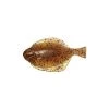 Hogy 3.5 Inch Flounder (3 Pack) -Baits + Lures Sales image 197