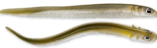 Hogy Sand Eels 3 Hogy Sand Eels