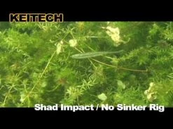Keitech Shad Impact Color Sexy Shad -Baits + Lures Sales image 317