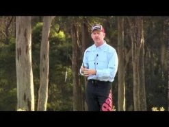 Rapala Original Floater Color Silver -Baits + Lures Sales image 365