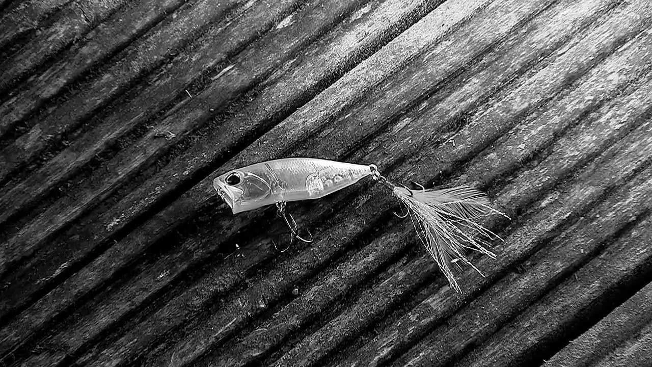 Duo Realis Popper 64 Color Neo Pearl 5 Duo Realis Popper 64 Color Neo Pearl - Image 3