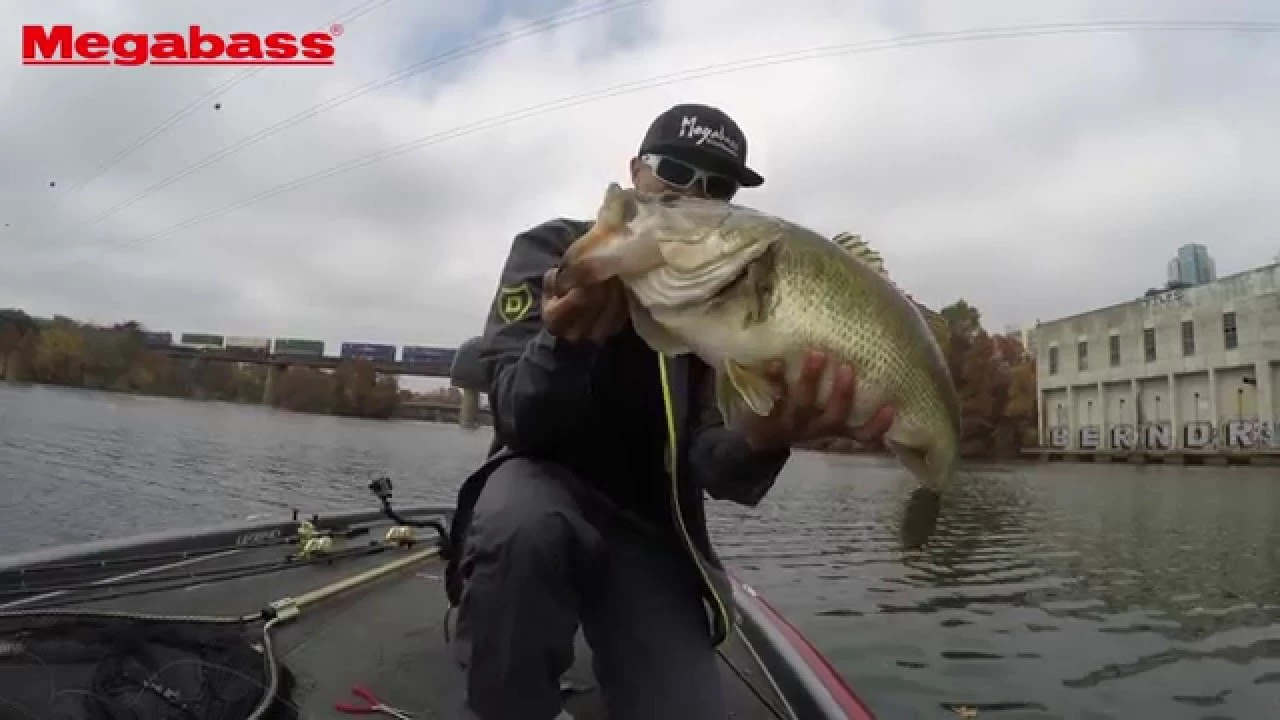 Megabass I-Slide 262T Swimbait Color Hasu 4 Megabass I-Slide 262T Swimbait Color Hasu - Image 2