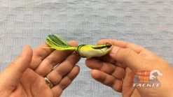 Megabass Pony Gabot Frog Color Akame Amagaeru 7 Megabass Pony Gabot Frog Color Akame Amagaeru -Baits + Lures Sales image 480