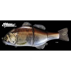 Jackall Gantarel Color RT Carp