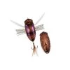 Duo Realis Dekashinmushi Cicada Bug Color Aburazemi -Baits + Lures Sales image 584
