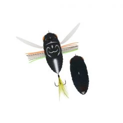 Duo Realis Koshinmushi Cicada Bug Color Aburazemi