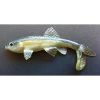 Little Creeper All American Trash Fish Color Blueback Herring 1 Little Creeper All American Trash Fish Color Blueback Herring -Baits + Lures Sales image 64