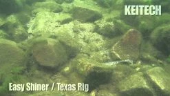 Keitech Easy Shiner Swimbaits Color French Pearl -Baits + Lures Sales image 654