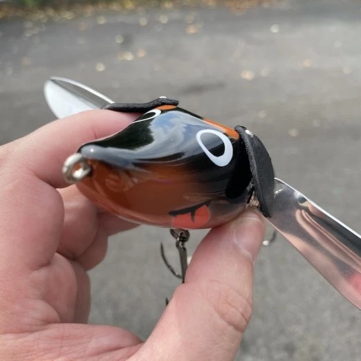 Fish Arrow Wing Dachs 5 Fish Arrow Wing Dachs - Image 3